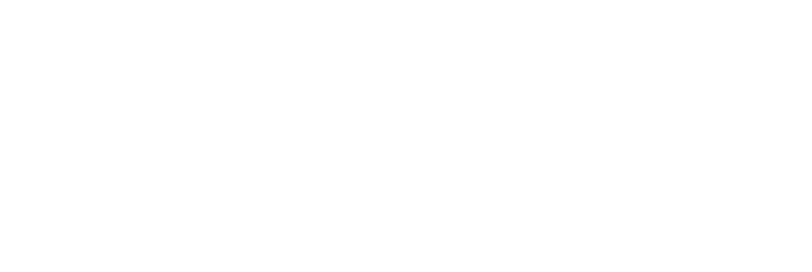 Logo FIP